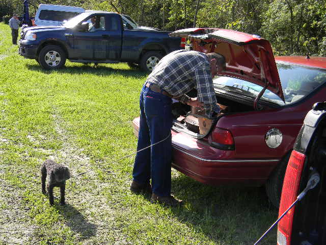 Picture 004.jpg